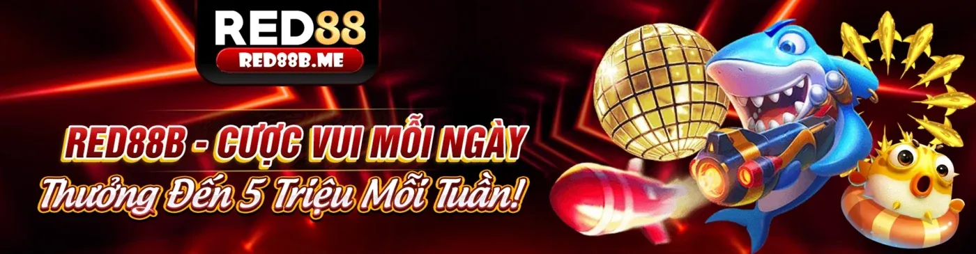 Giao diện nền tảng sodo19 nhà cái